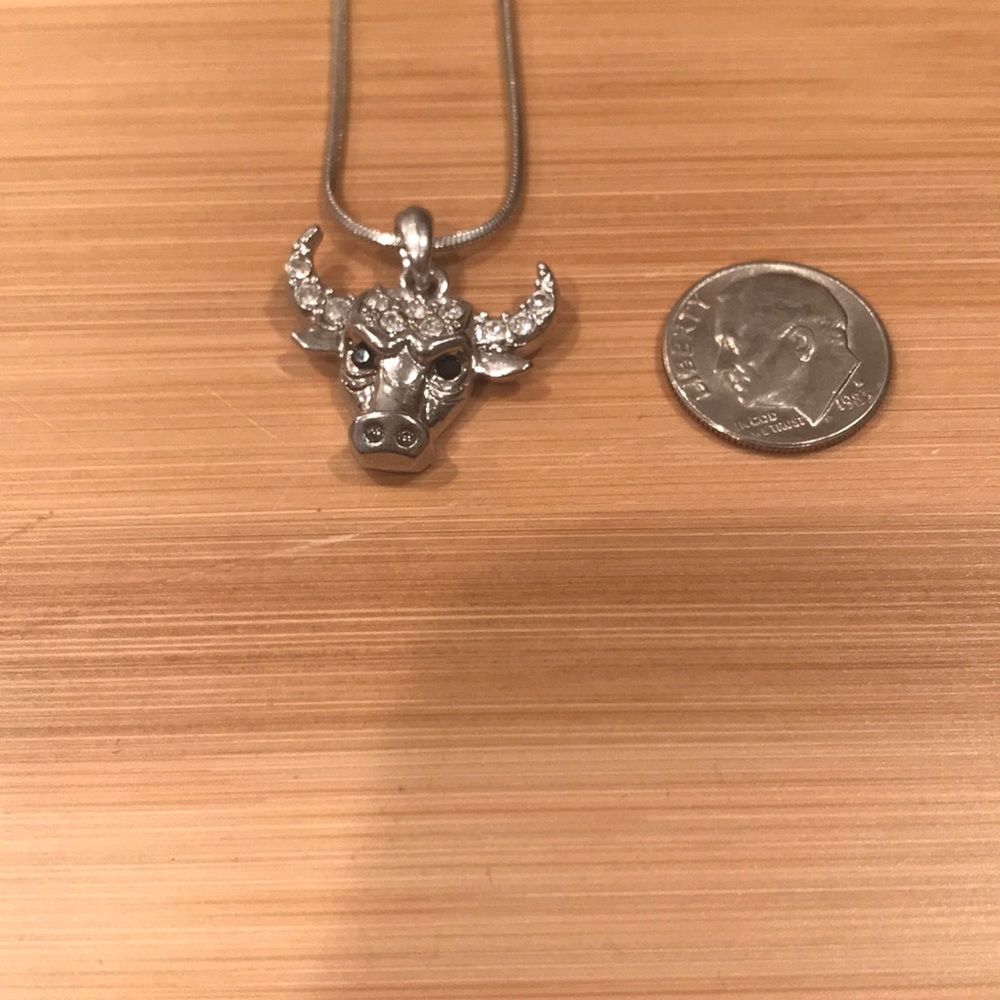 Chicago Bulls head pendant chain - Picture 4 of 7